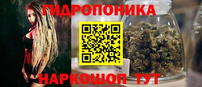 молекула духа Кинель