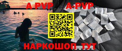 дживик Кингисепп