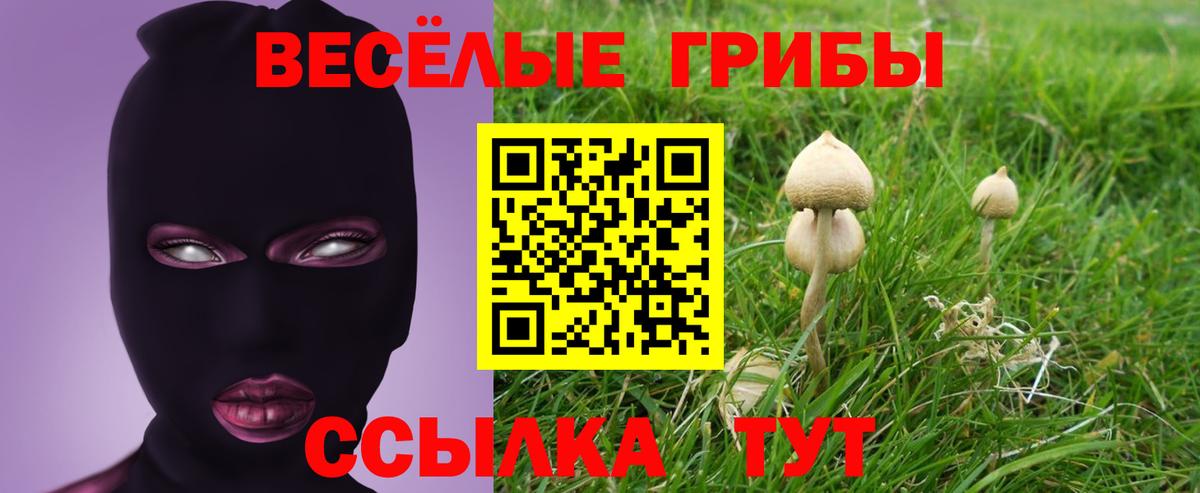 Галлюциногенные грибы GOLDEN TEACHER  где можно купить наркотик  Геленджик  Вход с VPN 